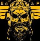Pirate_Pilot